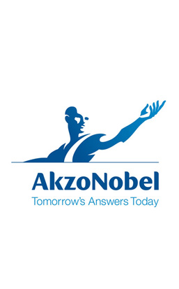 Change Management Vortrag - AkzoNobel